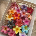 Korean Clutcherr Multicolor Hair Accessory