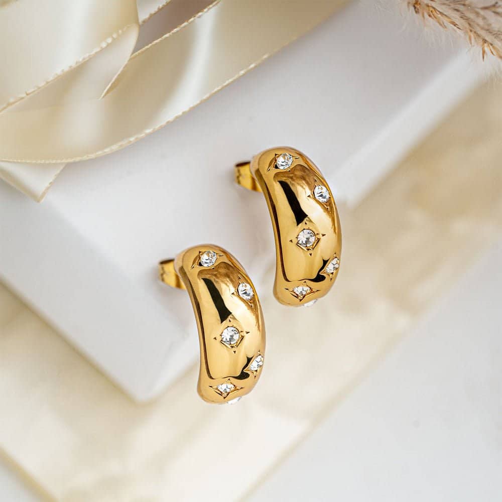 Anti Tarnish Earring's