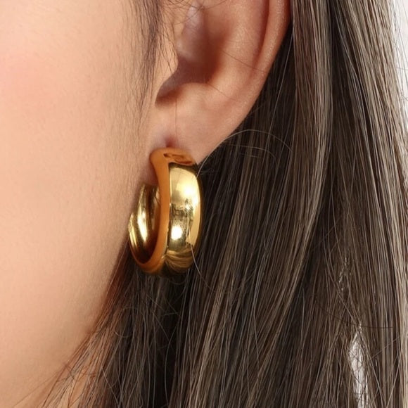 Gold & Silver Plated Contemporary Hoop Earrings