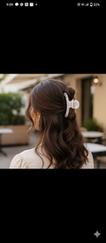 Chromatic Claw Clip (medium) Hair Accessory