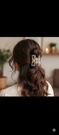 Plastic Rectangle Multicolor Hair Clow Clutcherrs